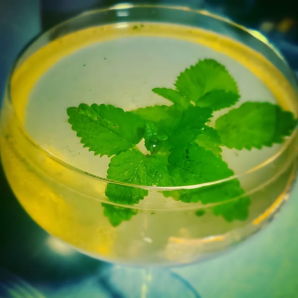 Close-up of a refreshing cocktail with mint leaves floating in a clear glass.