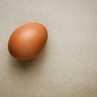 1 Egg